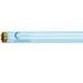 Rainbow Light Extreme YELLOW 1,9m 180W 