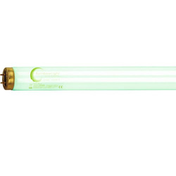 Rainbow Light Extreme GREEN 1,9m 180W 