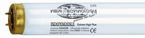 Independence B Extrem LM  160W 2,4